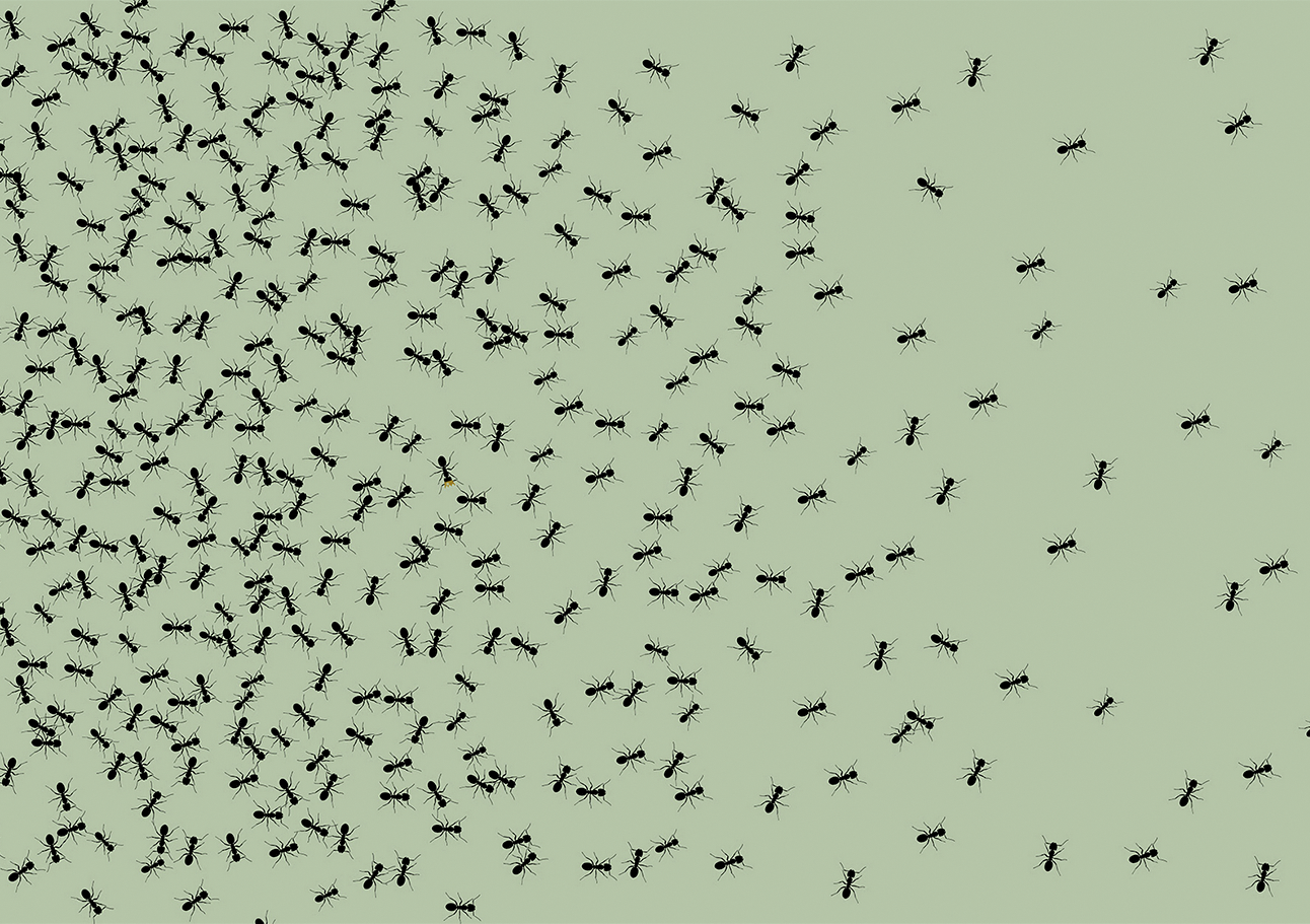 ant-population-earth
