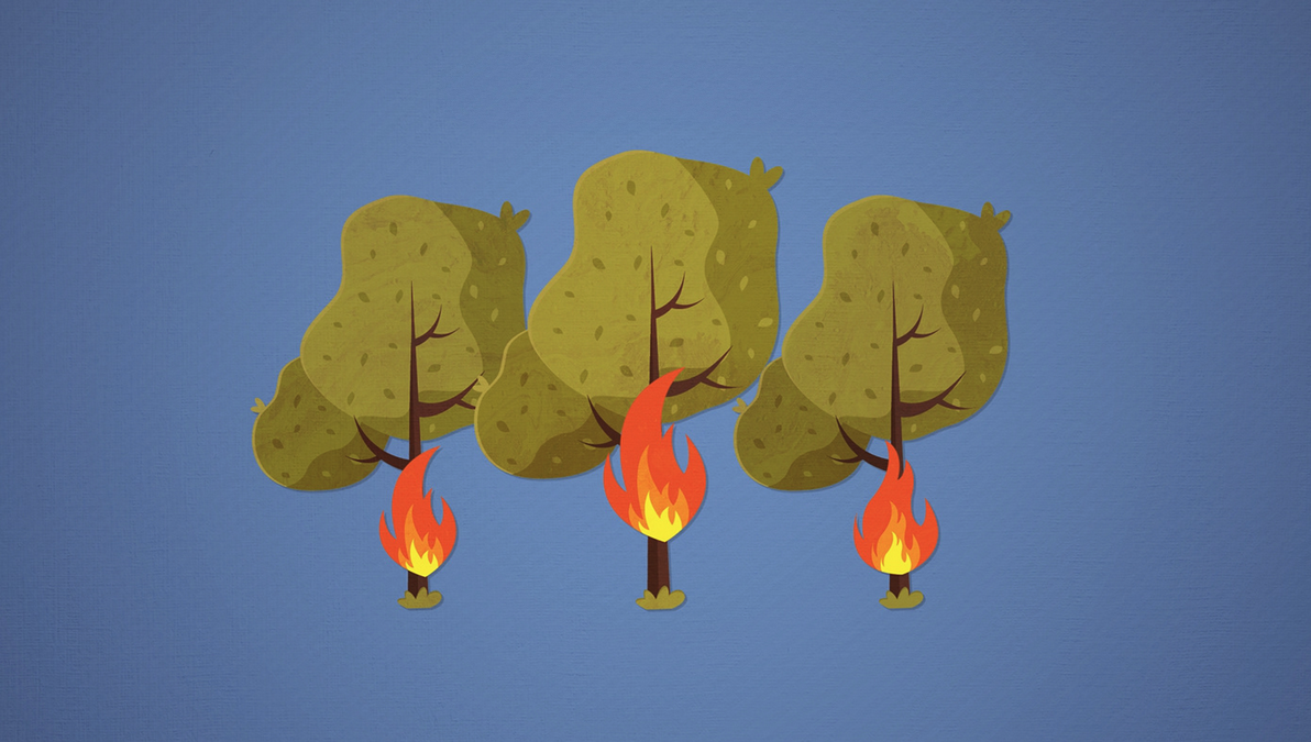 climate crisis