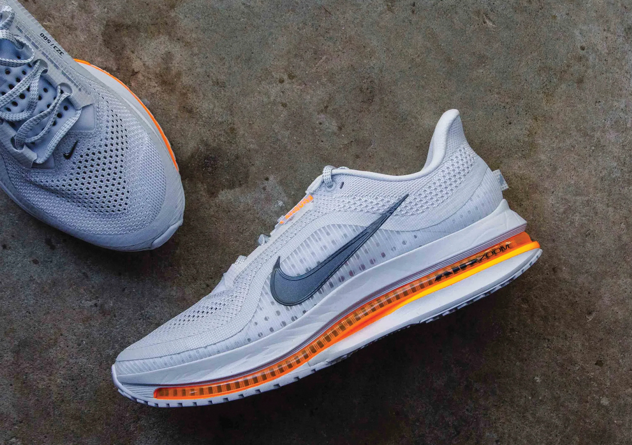pegasus-premium-nike