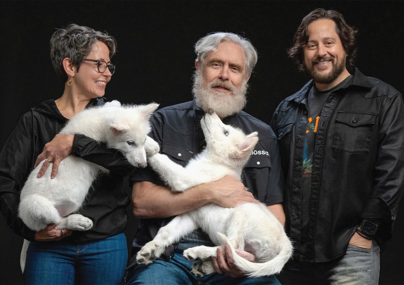direwolf-gratefuldead