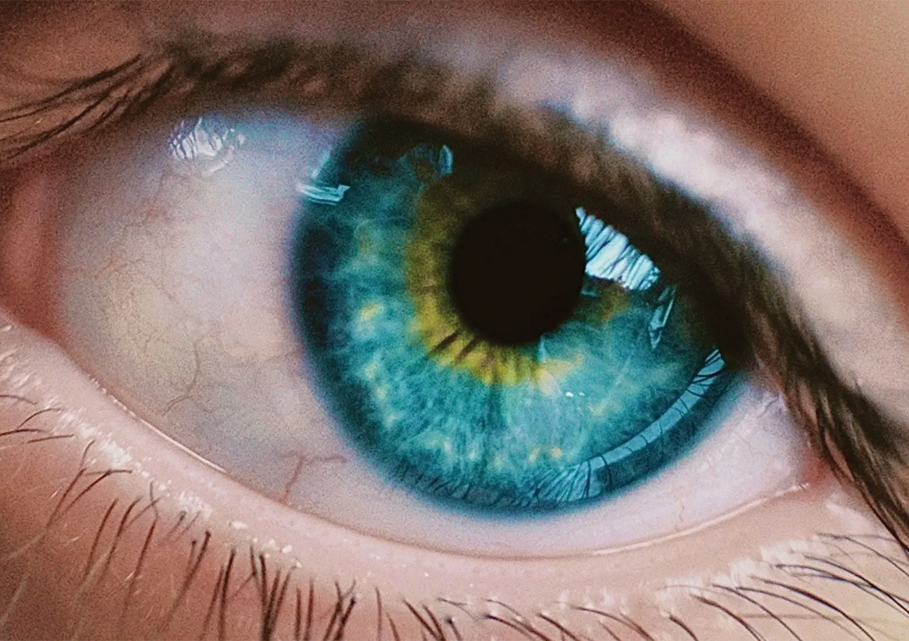 new-color-olo