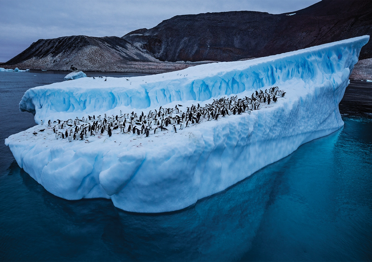 arctic-meltdown