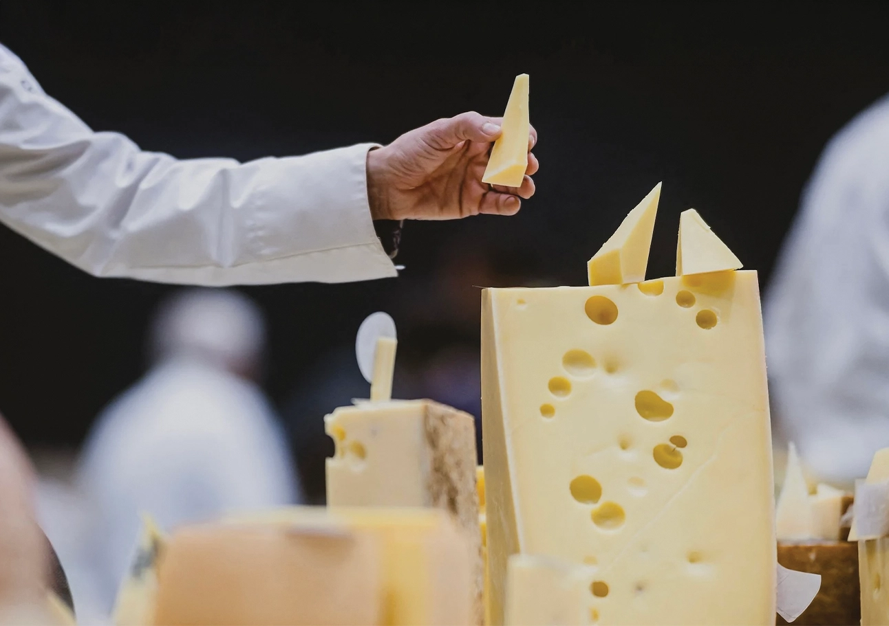 cheese-brain